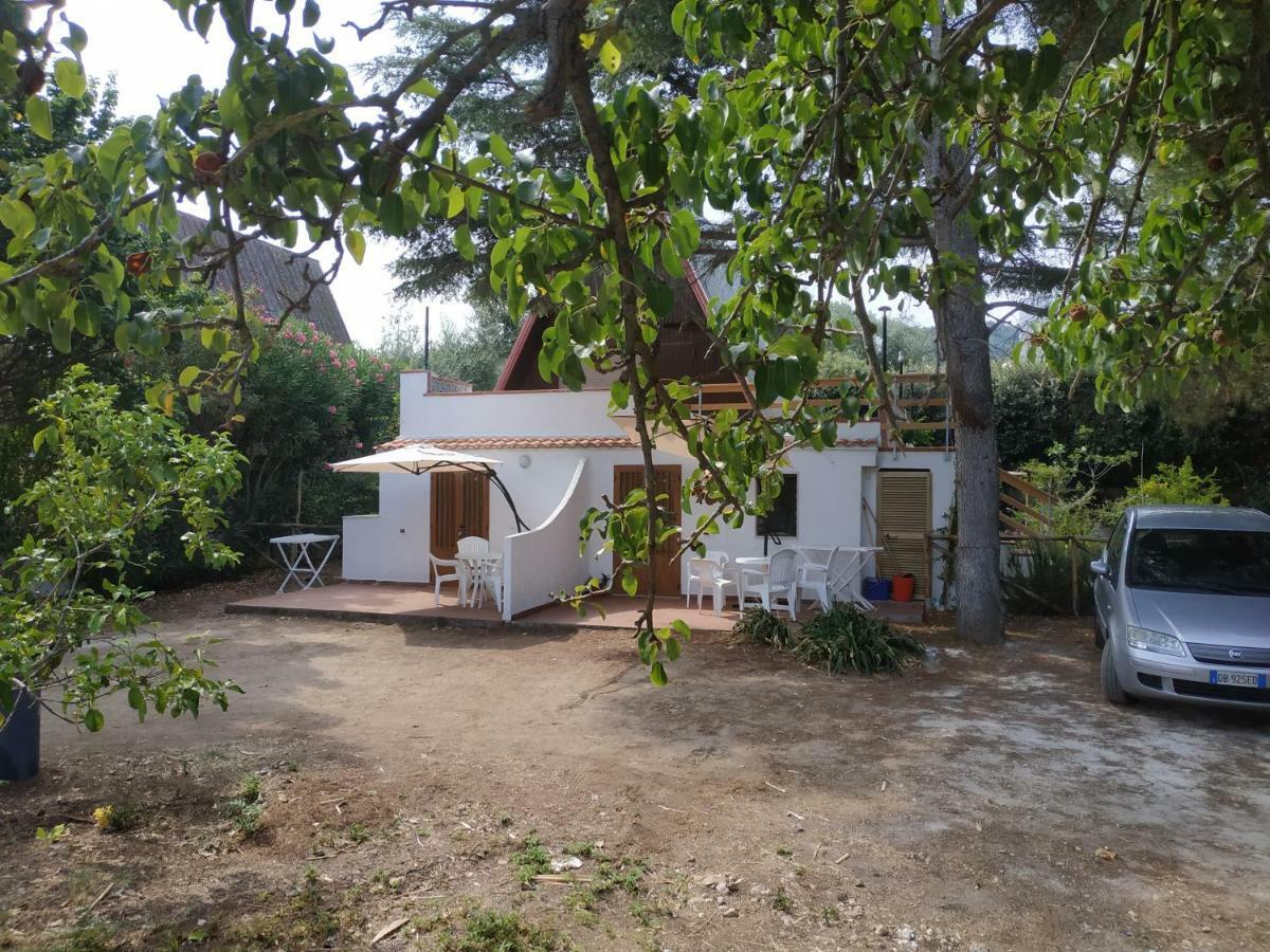 Villino Del Duca Διαμέρισμα Peschici Εξωτερικό φωτογραφία
